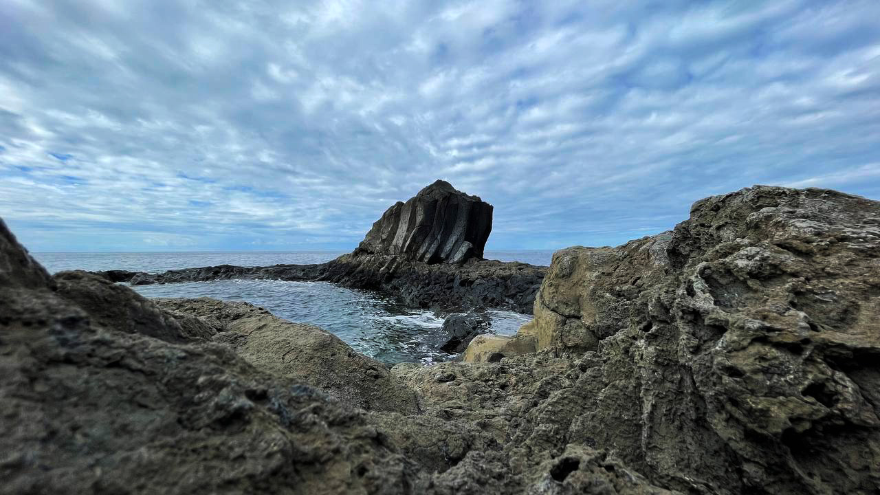 Foto de la semana