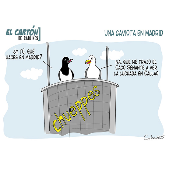 «Recuerda tus noches palmeras mezclando amor con habaneras, con vino y con marquesotes» (Caco Senante)