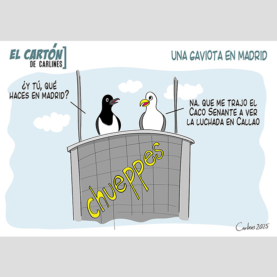 «Recuerda tus noches palmeras mezclando amor con habaneras, con vino y con marquesotes» (Caco Senante)